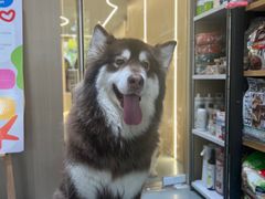 -奶牛家宠物酒店(嘉宏云顶店)