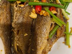 -宏宴·新京菜(望京店)