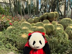 -石家庄市植物园