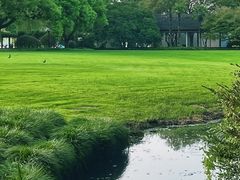 -柳浪闻莺公园