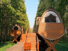 -黄海国家森林公园