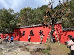 -大慈岩风景区