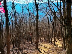 -安吉龙王山风景区