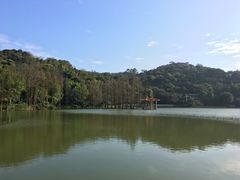 -西樵山风景名胜区-天湖公园