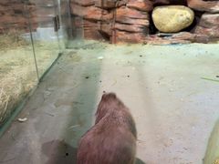 -正佳雨林生态植物园