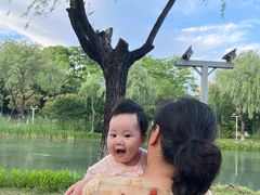 -暨阳湖生态园