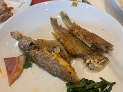 -合肥皇冠假日酒店·菲亚斯特自助餐厅(黄山路店)