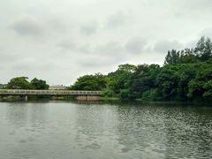 -厦门国家会计学院