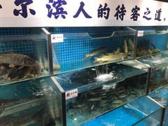 水产区-胖姐渔村(中源大道店)