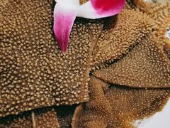 -小龙坎老火锅(北京三里屯店)