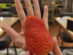 -禾斗海鲜自助(市南银座店)