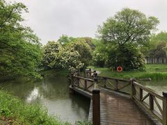 -无锡梅园公园