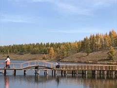 -塞罕坝国家级自然保护区