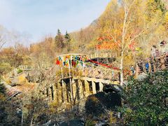 -叠溪松坪沟景区