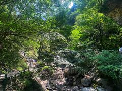 -少华山国家森林公园