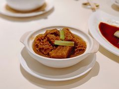 银罗金钱肚-利苑酒家(合景国际金融广场店)