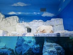 -大连老虎滩海洋公园