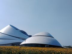 -哈尔滨大剧院