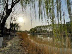 -大兴滨河森林公园