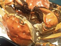 -星伦多自助料理(爱琴海店)