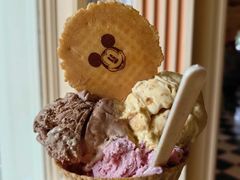 -巴黎迪士尼乐园