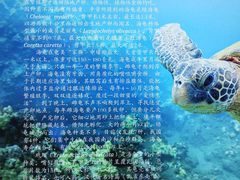 -上海海洋大学鱼文化博物馆(军工路校区)