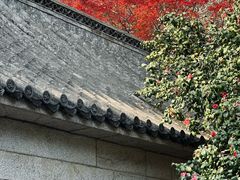 -青岛崂山太清宫