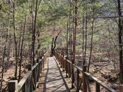 -青峰峡国家森林公园