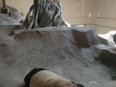 -宁波野生动物园