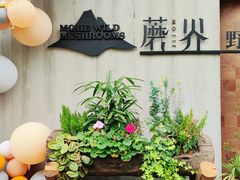 -蘑界·野生菌火锅(深业上城店)