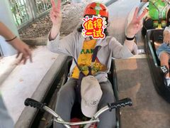 -圣淘沙天际线斜坡滑车