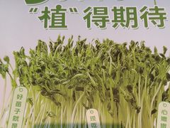 -蒙都43°9羊火锅·赤峰美食(宁城店)