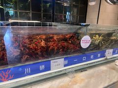 -川骄海鲜自助(亚运村店)