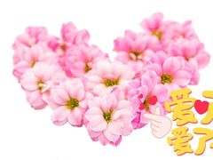 -双冰面馆(茶南店)