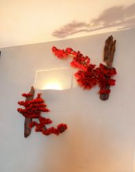 -琦品高端美容SPA私佳美场