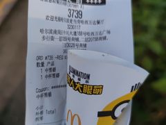 -麦当劳(哈西万达店)