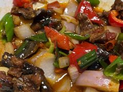 -军子大排档(迎春花园店)