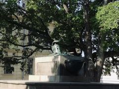 -芬兰堡