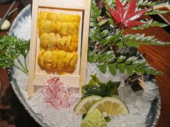 海胆刺身-松子料理(白家庄店)