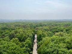 -灵谷景区