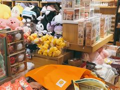 -九木杂物社(东方新天地店)