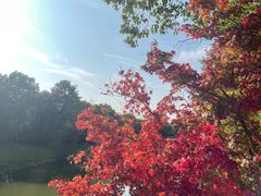 -上海海湾国家森林公园