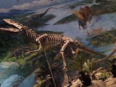 -自贡恐龙博物馆