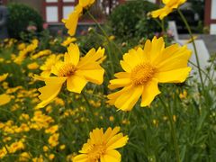 -武清南湖绿博园