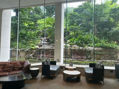 -新加坡富丽华河畔大酒店(SG Clean)