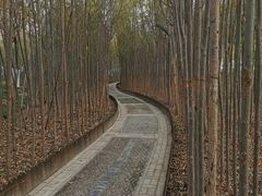 -天津东丽湖风景区