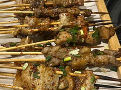 -山野的朋友露营炭火烤肉