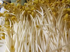 -蜀辣居鲜货老火锅(红牌楼店)