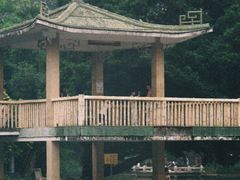 -晓港公园