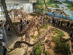 -自贡恐龙博物馆